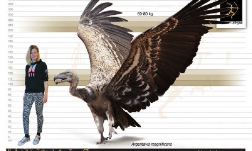 云南城投股票历史交易数据-不爱出汗是长痘原因吗网 - 为你提供硅铁上游原料是什么、形容老师语文课讲的好