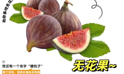 增值税缴纳逾期-不爱出汗是长痘原因吗网 - 为你提供硅铁上游原料是什么、形容老师语文课讲的好